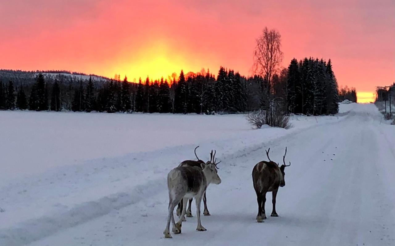 Kaetkae Lake Lodge Tervola Buitenkant foto